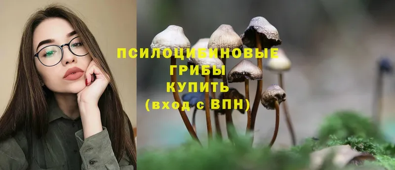 Галлюциногенные грибы Psilocybine cubensis  Качканар 